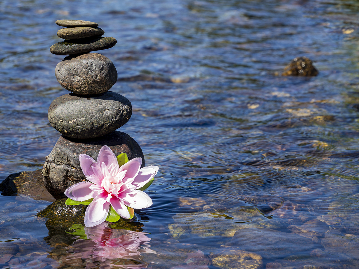 Wie lerne ich Reiki? | Kerstin Pfänder – Spirituelle Meisterin in Kiel